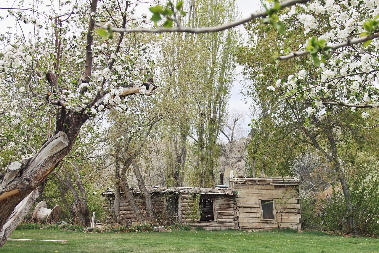 Hidden Canyon Retreat Baker Экстерьер фото
